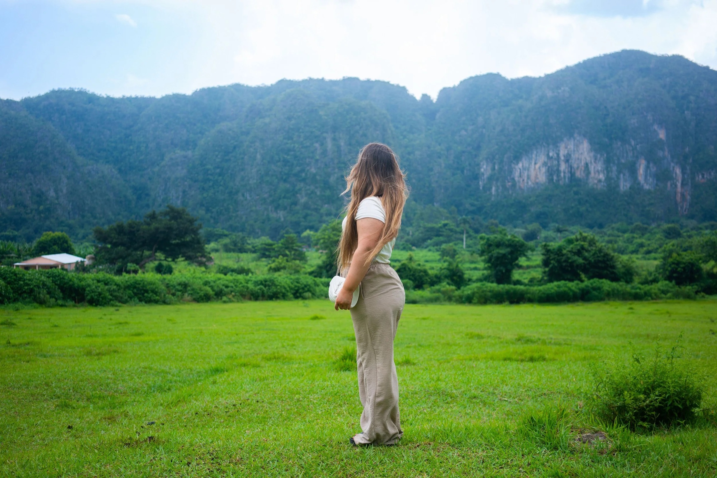 Viñales, where the world's best cigars begin