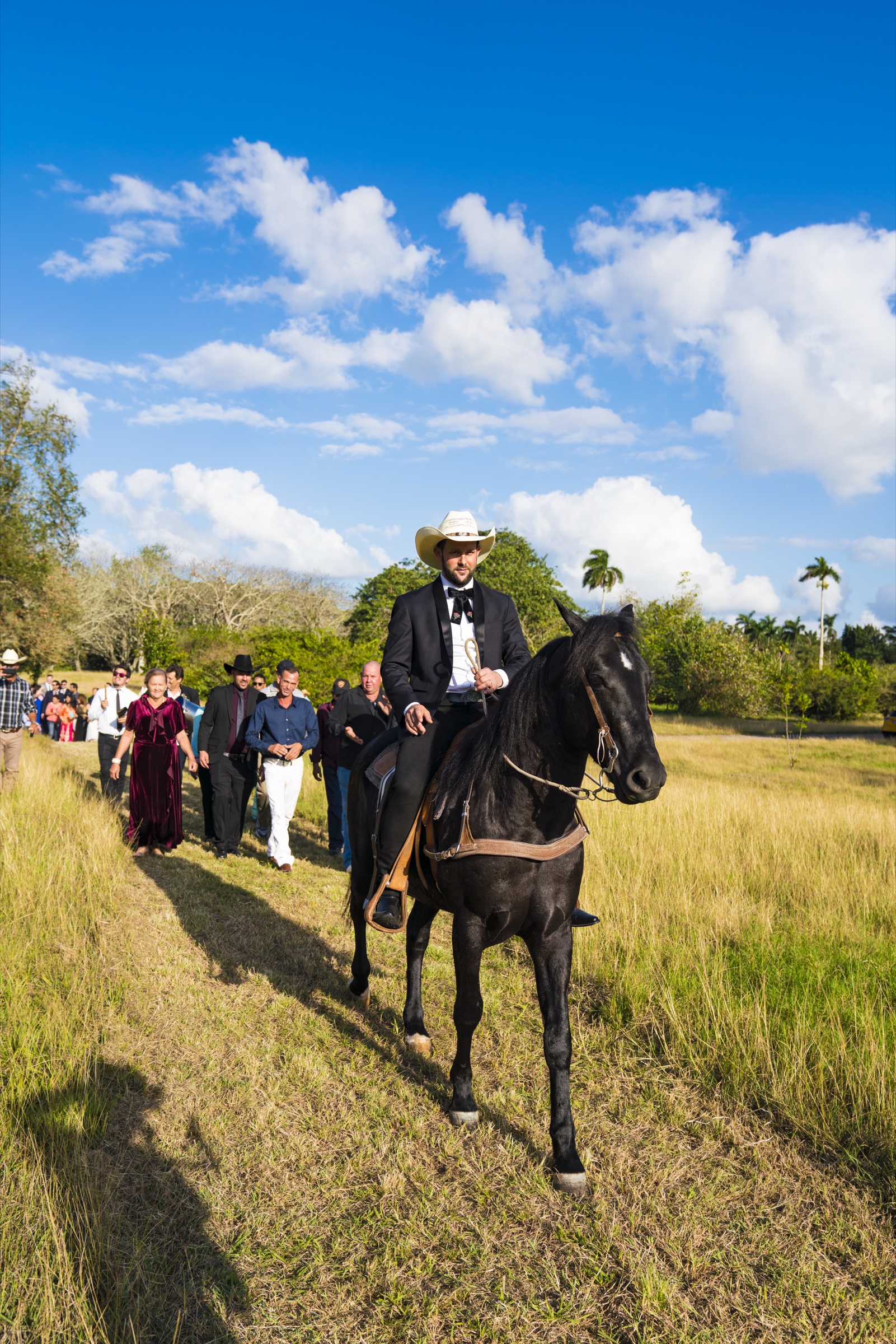 The groom in a black suit and wide country hat arriving on a dark horse through tall grass, wedding guests walking behind him under a blue sky